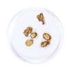 Image 2 : Lot of Gold Nuggets 3.06 grams Total Weight