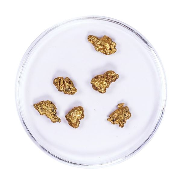 Lot of Gold Nuggets 2.66 grams Total Weight