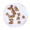 Image 1 : Lot of Gold Nuggets 6.49 grams Total Weight