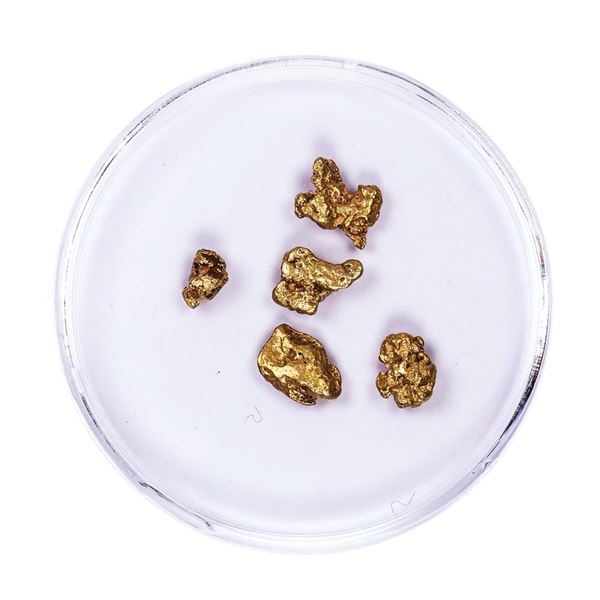 Lot of Gold Nuggets 2.40 grams Total Weight