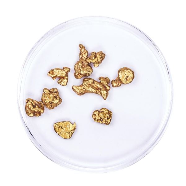 Lot of Gold Nuggets 3.99 grams Total Weight