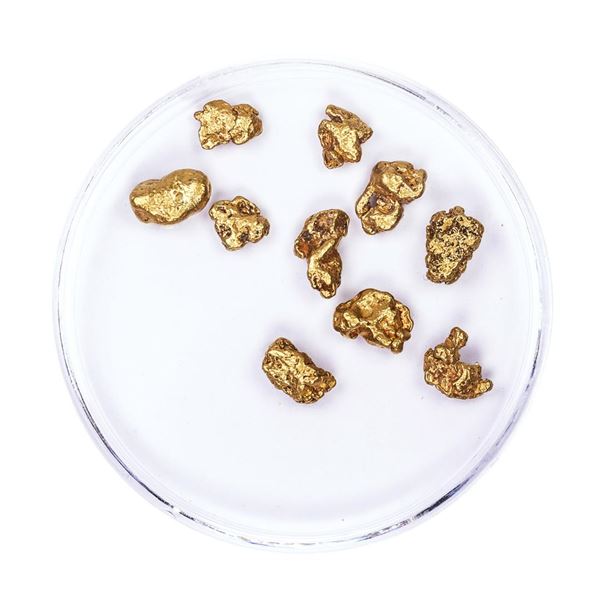 Lot of Gold Nuggets 5.04 grams Total Weight