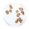 Image 2 : Lot of Gold Nuggets 5.04 grams Total Weight