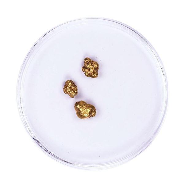 Lot of Gold Nuggets 1.83 grams Total Weight