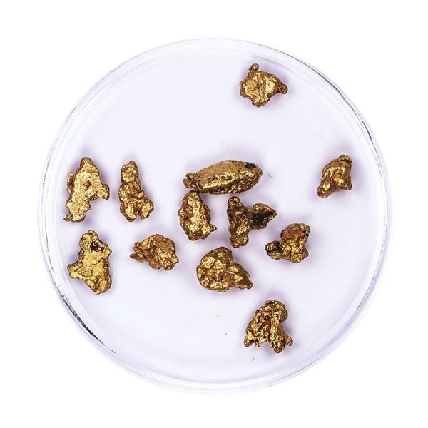 Lot of Gold Nuggets 5.08 grams Total Weight