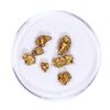 Image 1 : Lot of Gold Nuggets 4.12 grams Total Weight