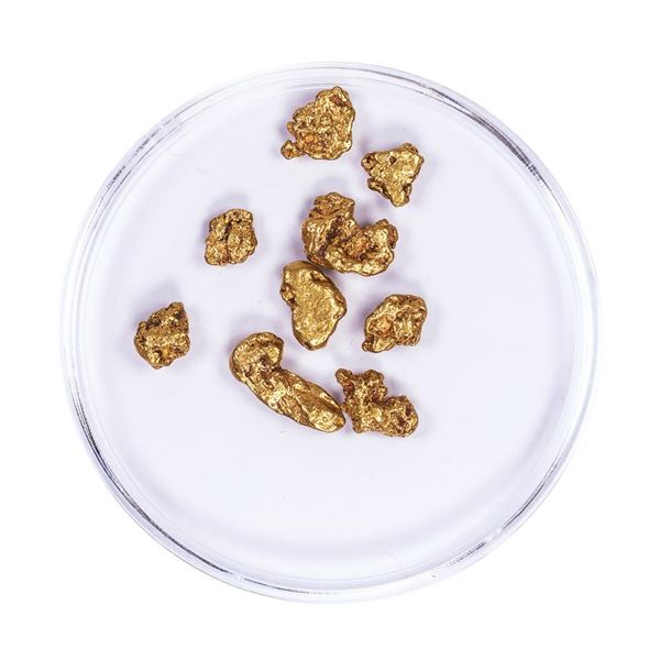 Lot of Gold Nuggets 3.68 grams Total Weight