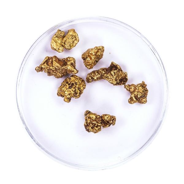 Lot of Gold Nuggets 7.22 Grams Total Weight