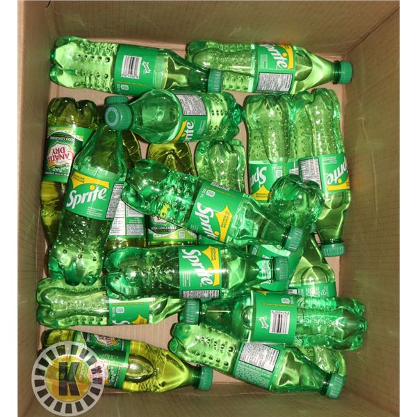 BOX OF SPRITE & GINGER ALE