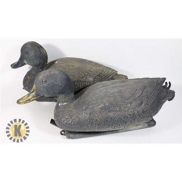 TWO DECOY FLOATING DUCKS