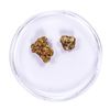 Image 1 : Lot of Gold Nuggets 2.47 Grams Total Weight