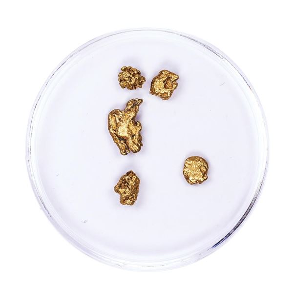 Lot of Gold Nuggets 1.87 grams Total Weight