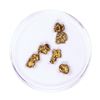 Image 1 : Lot of Gold Nuggets 2.61 grams Total Weight