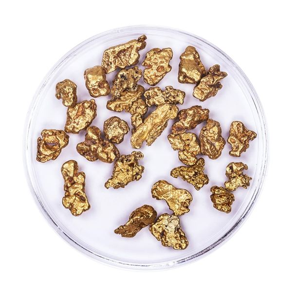 Lot of Gold Nuggets 11.88 grams Total Weight