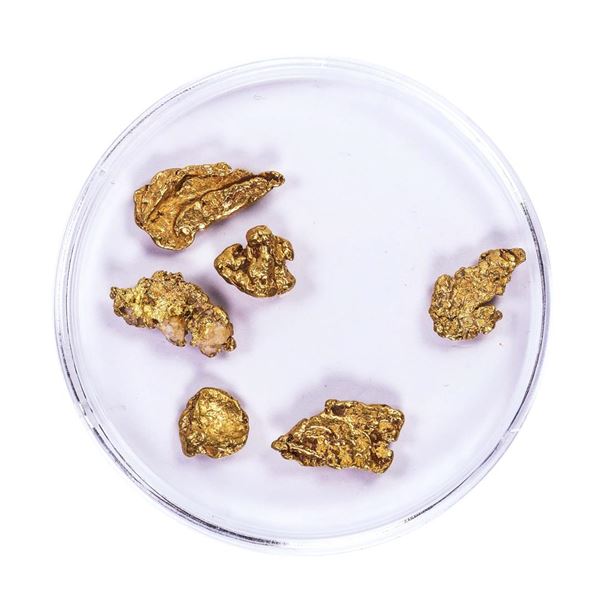 Lot of Gold Nuggets 3.69 Grams Total Weight