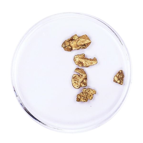 Lot of Gold Nuggets 1.80 grams Total Weight
