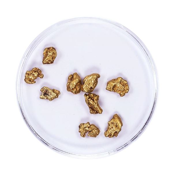 Lot of Gold Nuggets 4.12 grams Total Weight