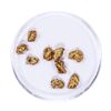 Image 1 : Lot of Gold Nuggets 4.12 grams Total Weight