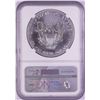Image 2 : 2016(S) $1 American Silver Eagle Coin NGC MS69