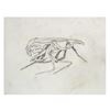 Image 2 : Pair of Concept Drawings from Mimic.