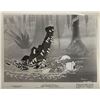 Image 3 : Set of (15) Photos From Donald Duck Animated Shorts.