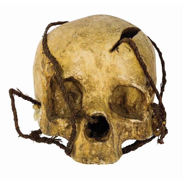 Pirates of the Caribbean Prop Skull.