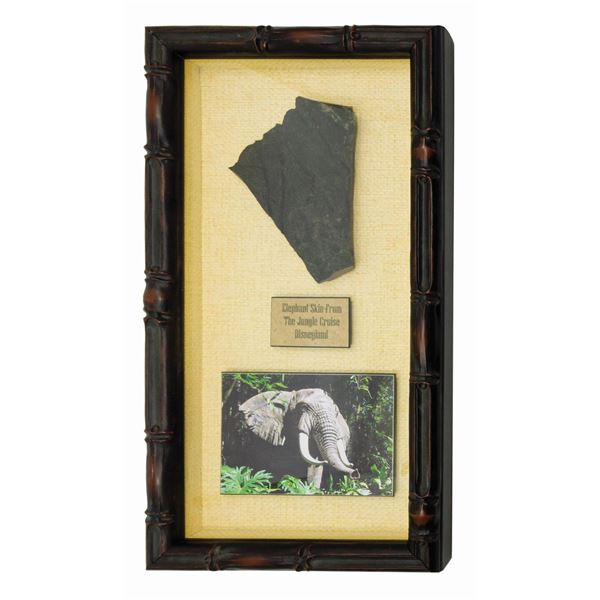 Jungle Cruise Elephant Skin Prop.