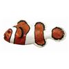 Image 1 : Clown Fish Prop from Submarine Voyage.