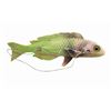 Image 2 : Green Fish Prop from Submarine Voyage.