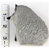 Image 11 : 1950s USSR Lomonosov Porcelain Hedgehog