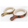 Image 1 : 2 Mata Ortiz Sgraffito Pottery Snake Pot Stands