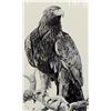 Image 2 : Hand Signed Eagle Print by Jim Branscum