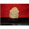 Image 1 : Chinese Scholar's Rock  #2077394