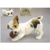 Image 1 : Royal Doulton Model Of A Character Dog #2089826