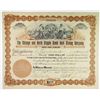 Image 1 : Chicago and North Cripple Creek Gold Mining Co. 1896 I/U Stock Certificate