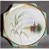 Image 1 : George Jones Victorian Plate. #2071565