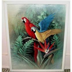 Parrots and Birds of Paradise 17" x 21" Framed #2086259