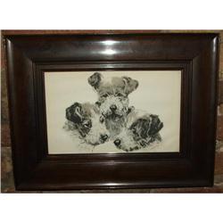 1930's Framed M. Huhn Terrier Puppies Print #2087069