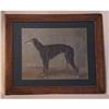 Image 1 : 1930s Greyhound Dog Portrait by Clulow Child #2095844