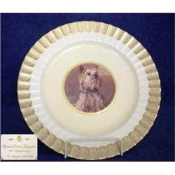 Royal Worcester Cabinet Plate  #2106231