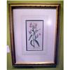 Image 1 : 18th Century Botanical Engraving, Framed #2106267
