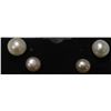 #23-FRESH WATER PEARL STUD EARRINGS