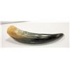 Image 1 : 18" ANIMAL HORN