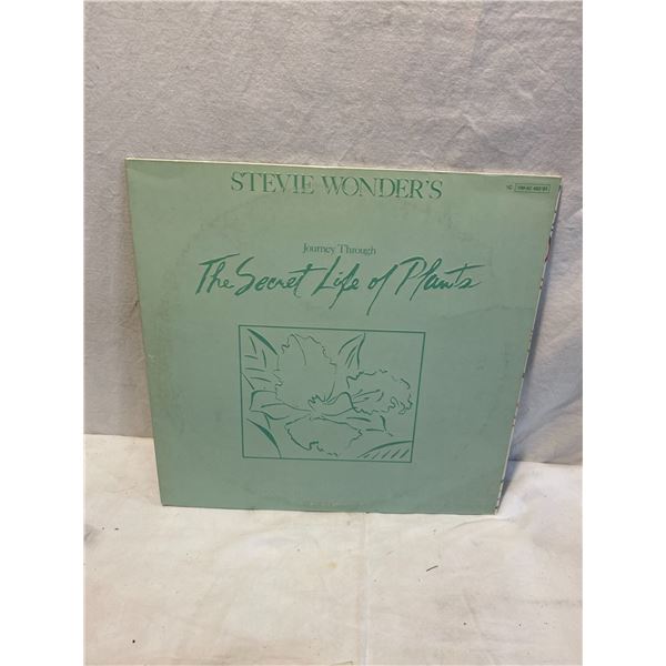 Stevie Winder’s record