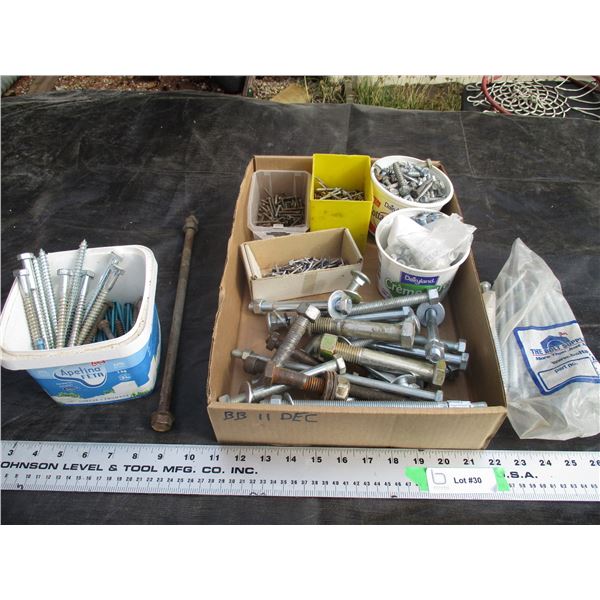 Misc Bolts and Screws