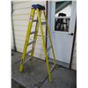 Image 1 : Louisville 6ft Ladder