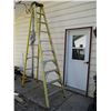 Image 1 : Industrial 9ft Ladder