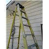 Image 2 : Industrial 9ft Ladder