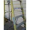 Image 4 : Industrial 9ft Ladder