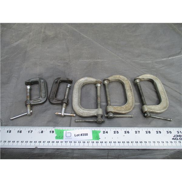 2", 3" Clamps (5)